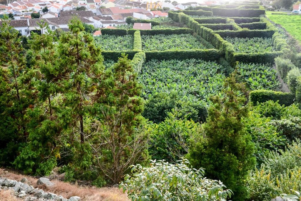 Hotel Quinta Amaro Al Angra do Heroísmo Exteriér fotografie