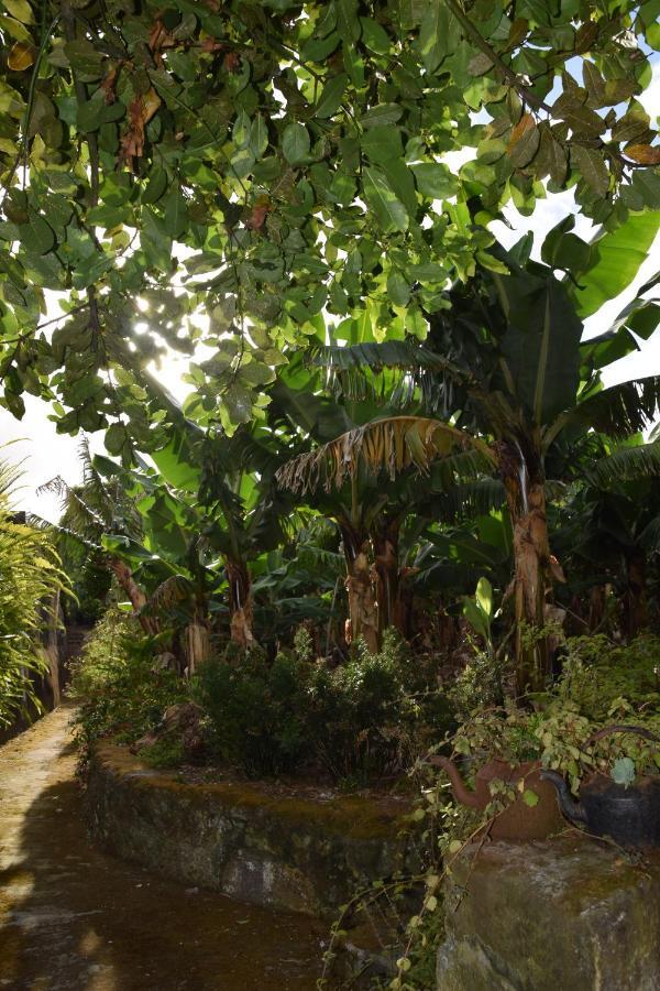 Hotel Quinta Amaro Al Angra do Heroísmo Exteriér fotografie